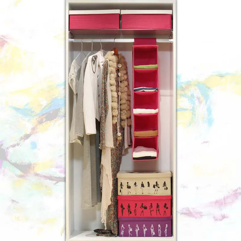 5 Shelf Drawer Hanging Organizer